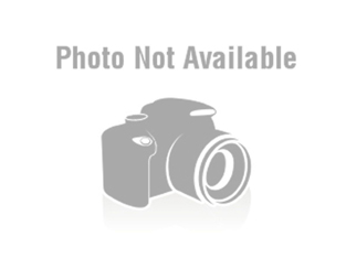 test category