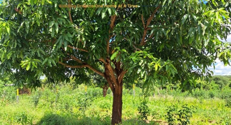 Buy Plots in Kenya with Title Deeds – Jaystar Real Estate