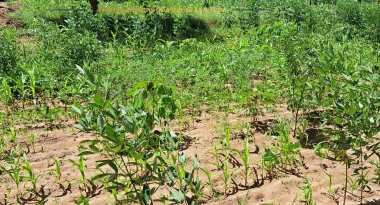 Buy Plots in Kenya with Title Deeds – Jaystar Real Estate